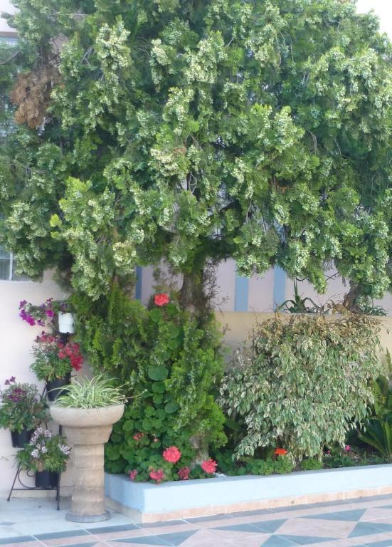 Rainbow Hotel Rhodes City Luaran gambar